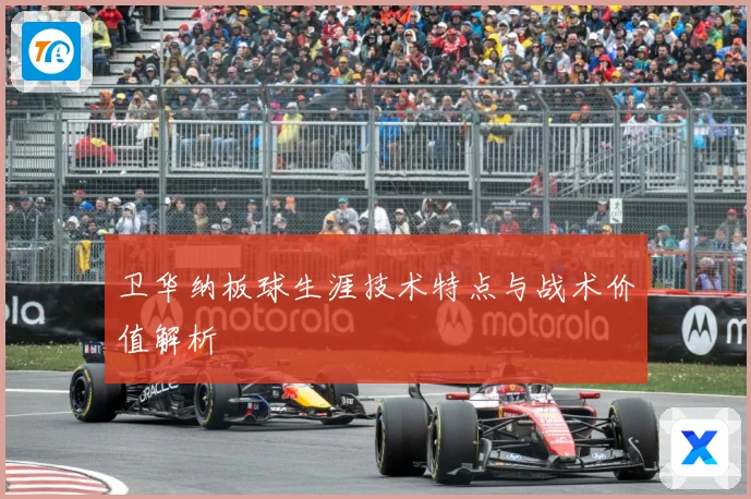 卫华纳板球生涯技术特点与战术价值解析
